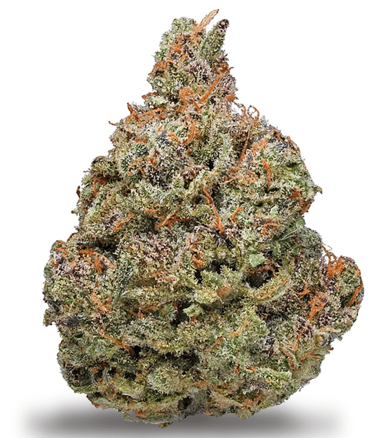 Afghan Kush Marijuana Strain Uk