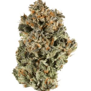 Blackberry Kush Marijuana Strain UK