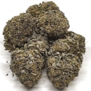 Blue Cheese Cannabis Strain