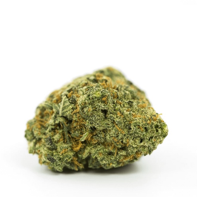 Blueberry Kush Marijuana Strain UK