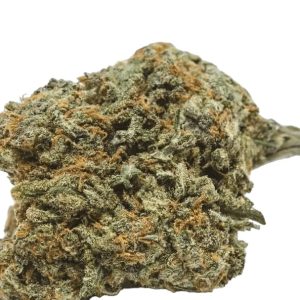 Cheese Cannabis Strain UK