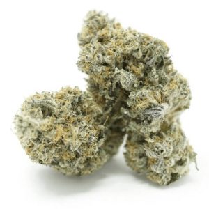 Chocolate OG Strain UK