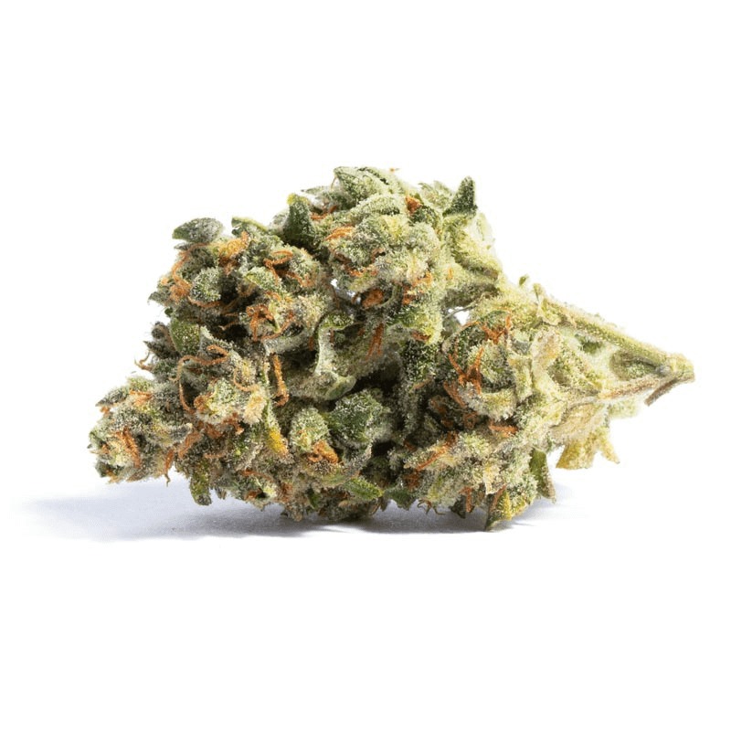 Columbian Gold Weed Strain Uk