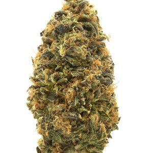 Donny Burger Weed Strain Uk