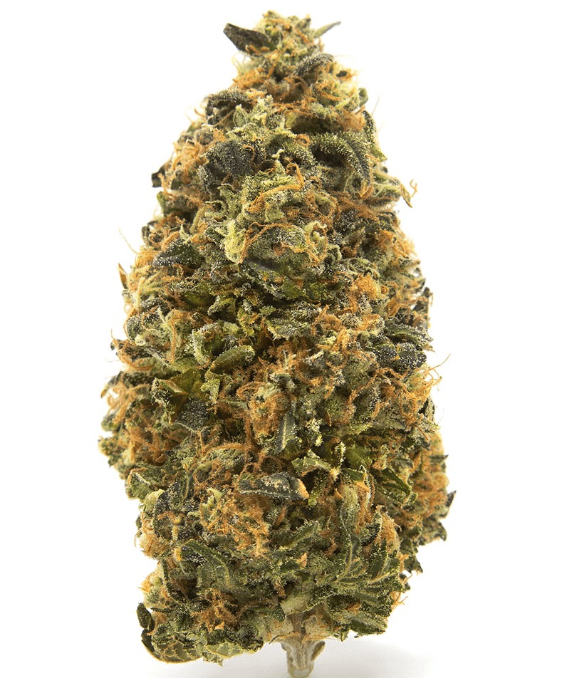 Donny Burger Weed Strain Uk