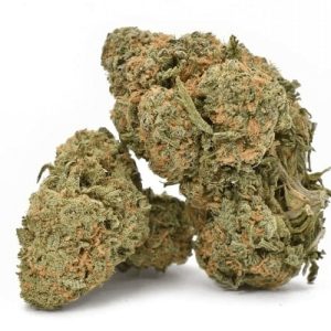 Durban-Poison-Marijuana-Strain Uk