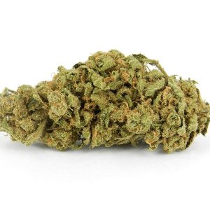 Hog Marijuana Strain