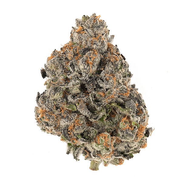 Mag Landrace Marijuana Strain Uk