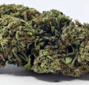 Marmalade Marijuana Strain Uk