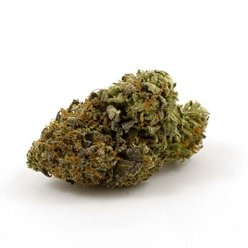 Northern Lights Marijuana Strain Uk