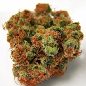 Panama Red Marijuana Strain Uk
