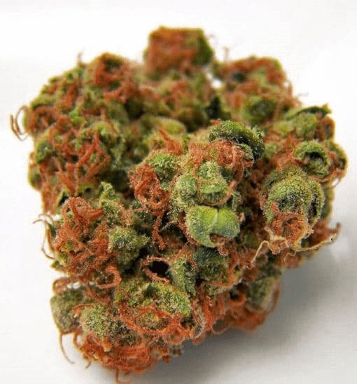 Panama Red Marijuana Strain Uk