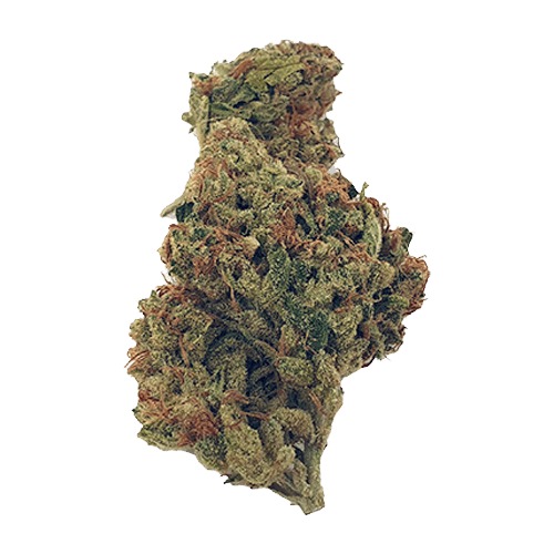 Pineapple Thai Marijuana Strain UK