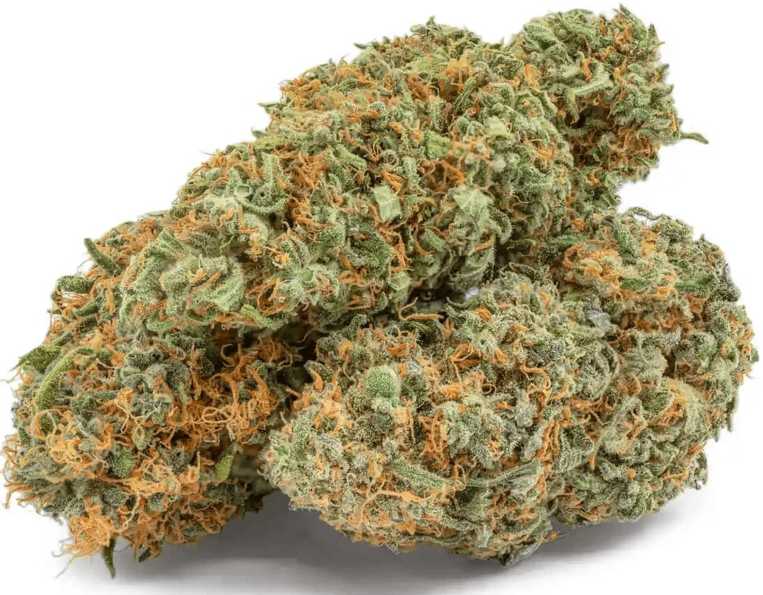 West Coast Diesel Marijuana Strain Uk